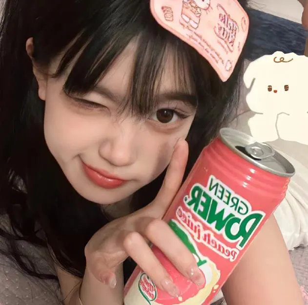 雪豹和她的朋友们